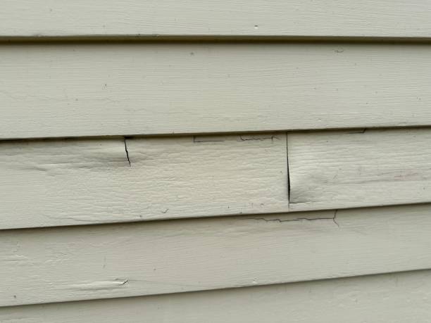Best Shed Removal  in Rockville, CT